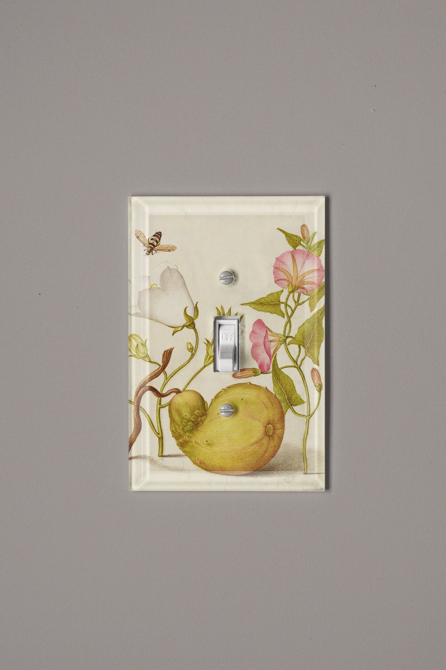 Beetle, Willow, and Gourd Switch Plate