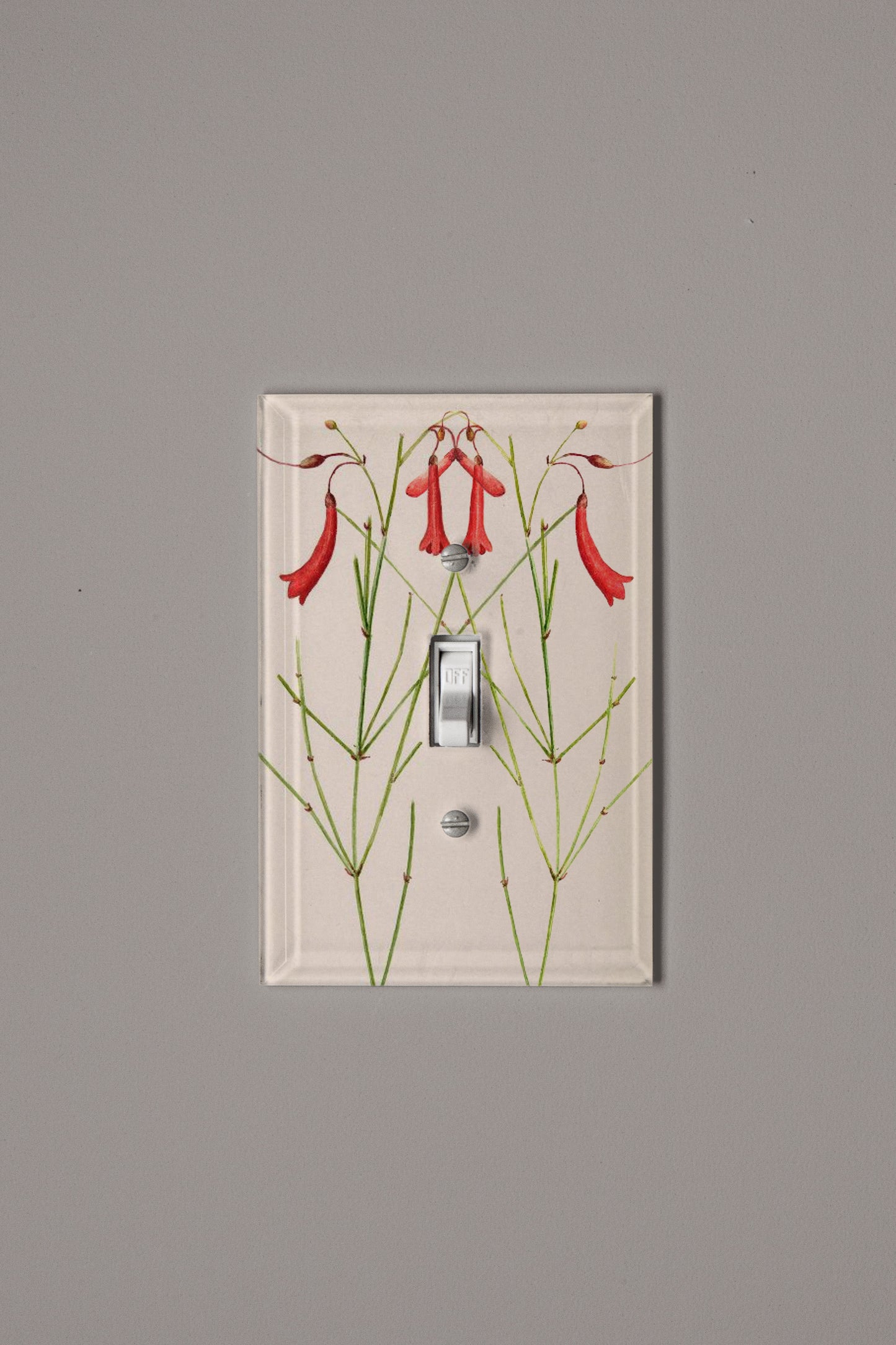 Tricycle Red Switch Plate Cover