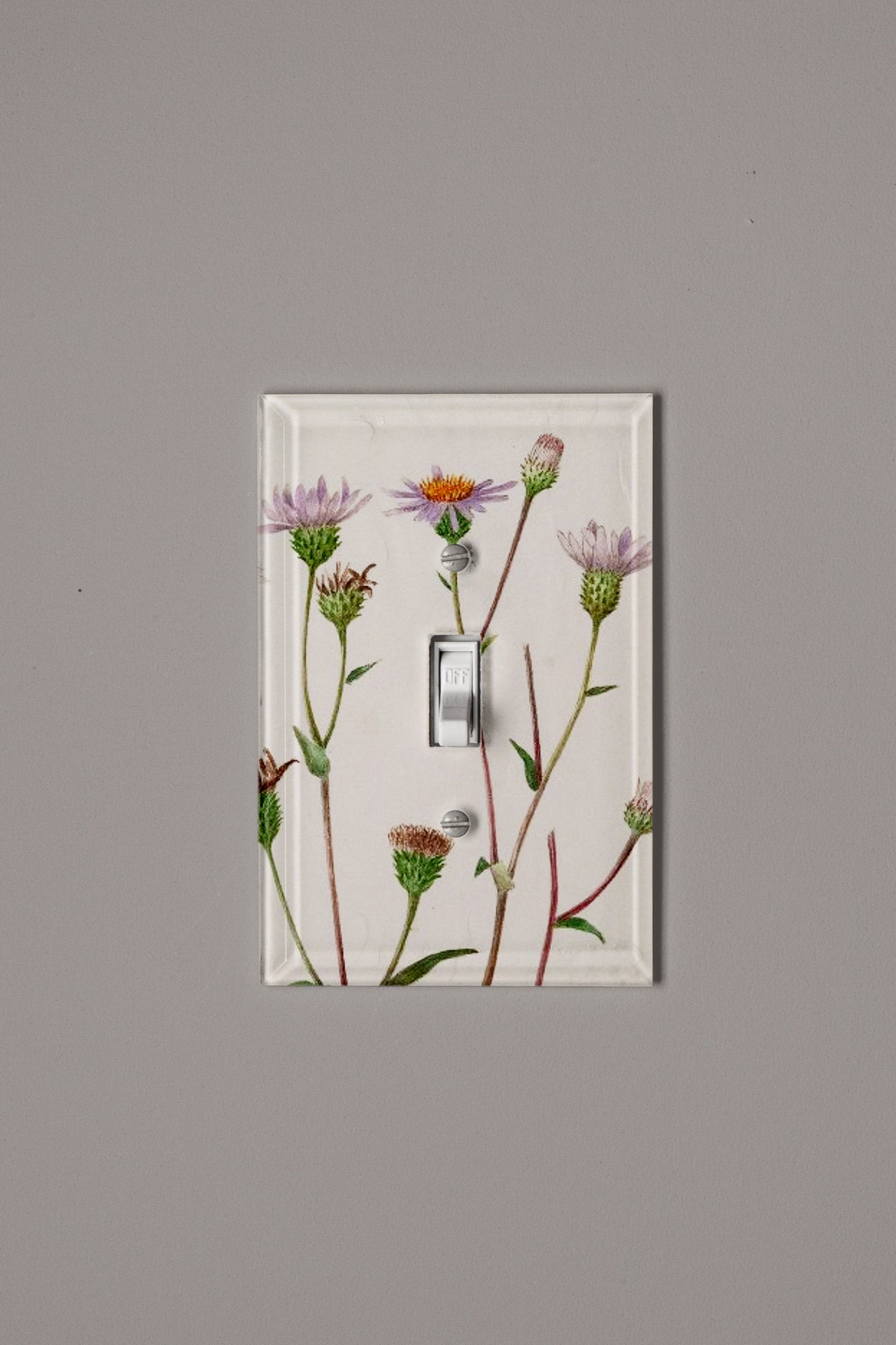 Gentle Blush Switch Plate Cover