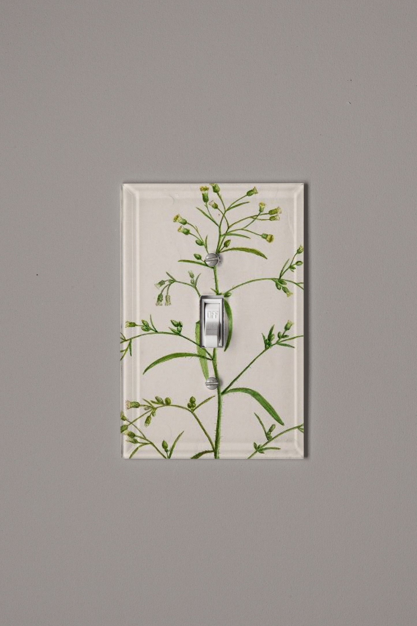 Pink Innocence Switch Plate Cover