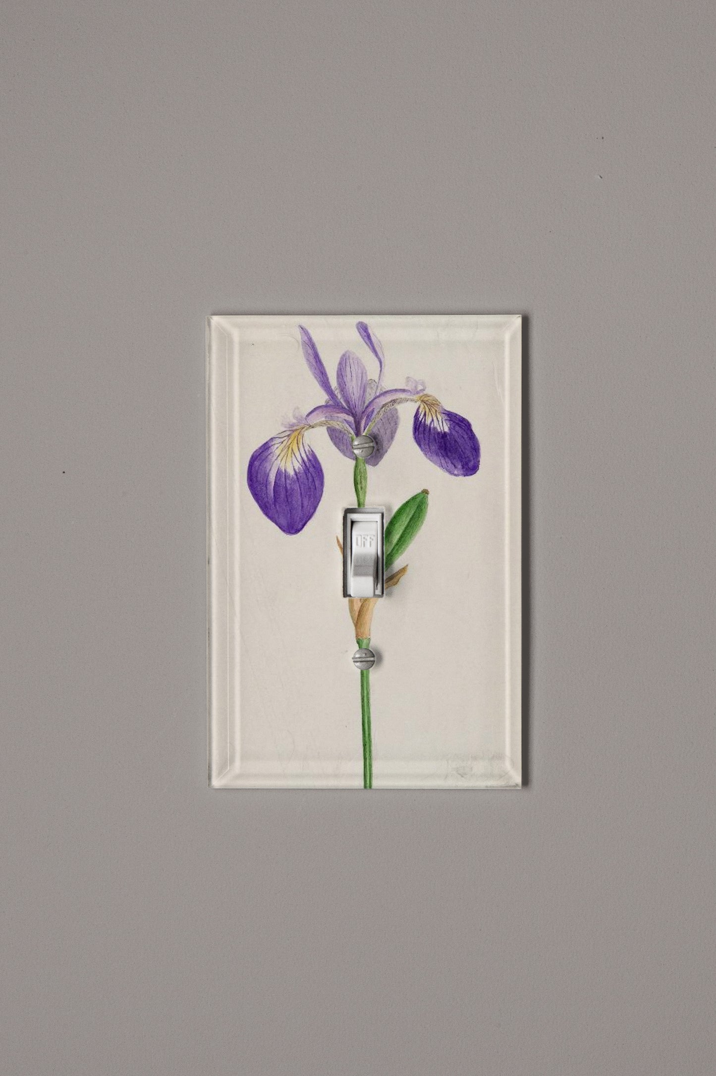 Iris Switch Plate Cover