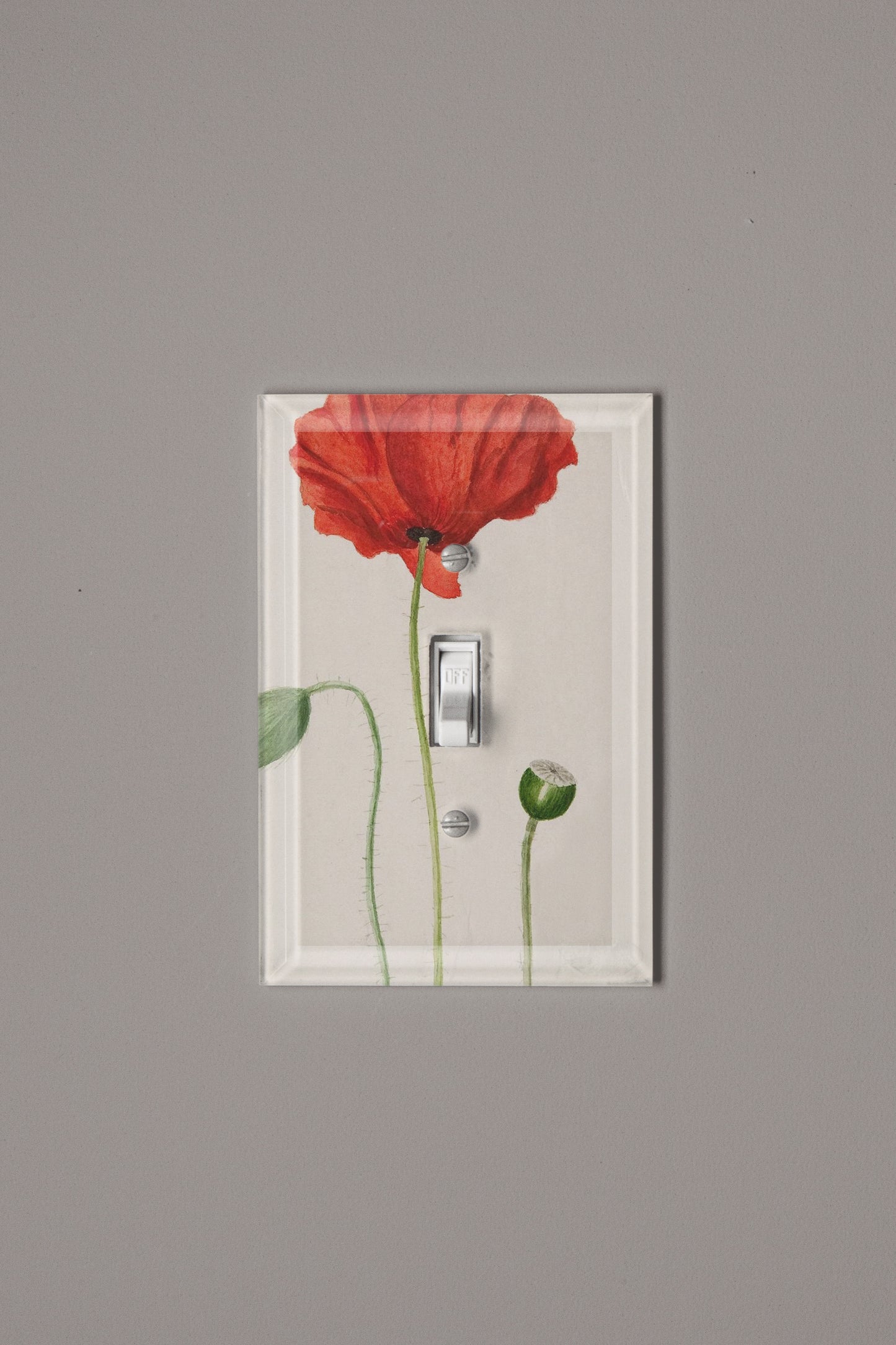 Big Red Switch Plate Cover