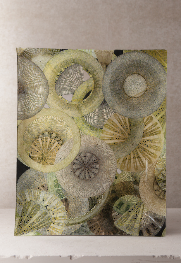 Green Space Decoupage Platter