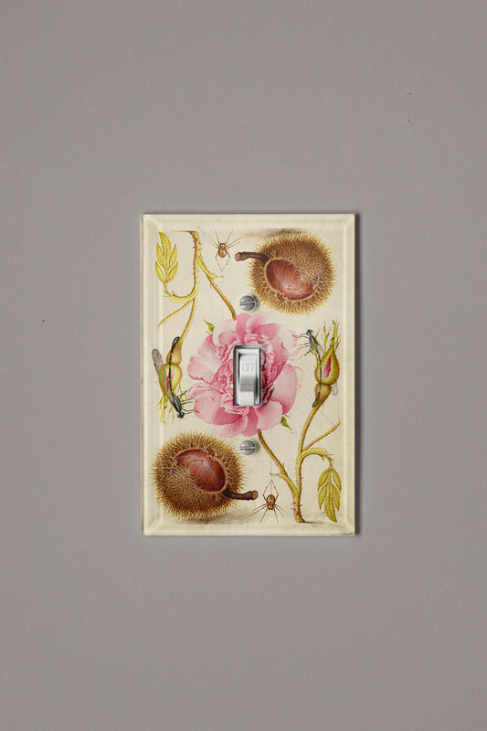 Flies, Rose, Chestnut and Spider Switch Plate Cover