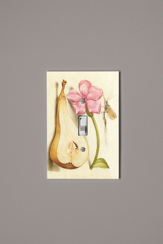 Mayfly, Red Campion and Pear Switch Plate Cover