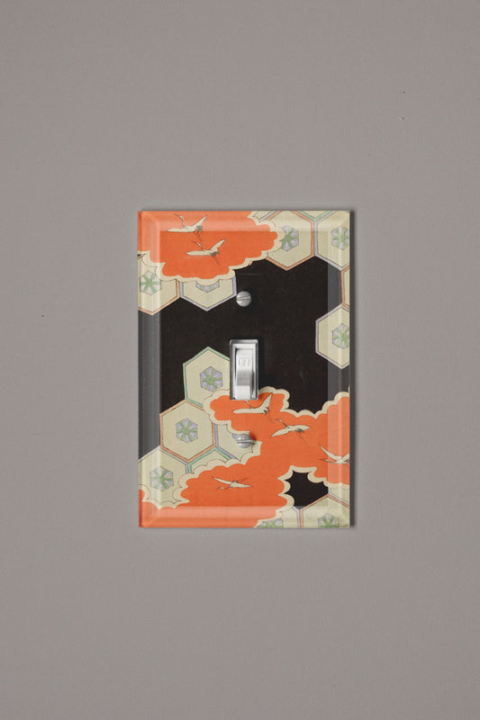 Print 66 Switch Plate Cover