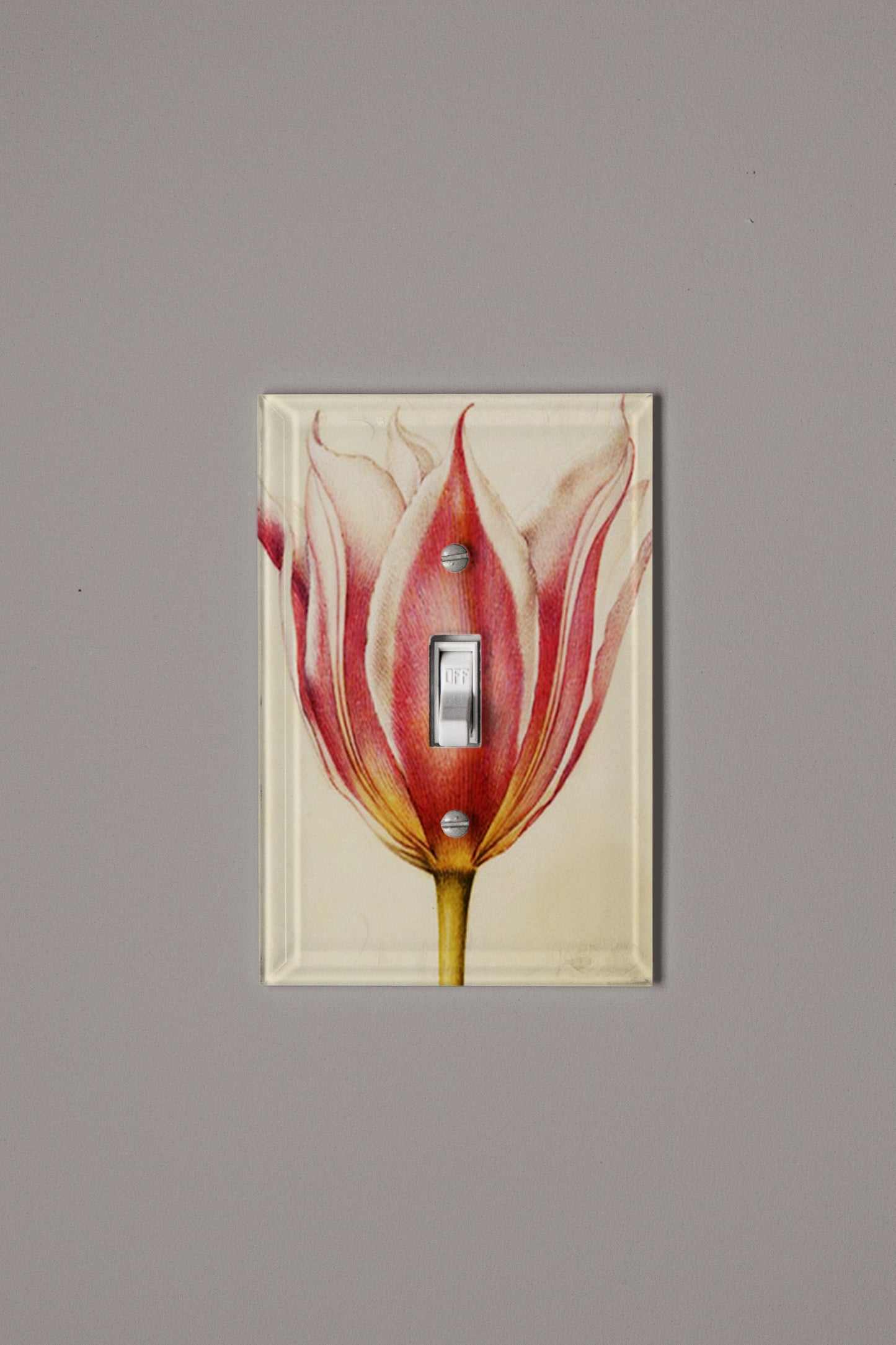 Tulip Switch Plate