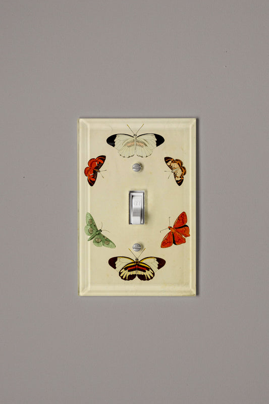 Ring of Butterflies Switch Plate Cover