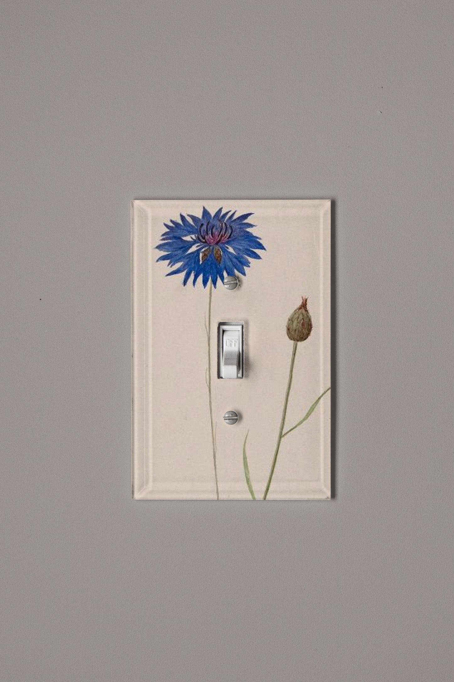 Blue Wave Switch Plate Cover