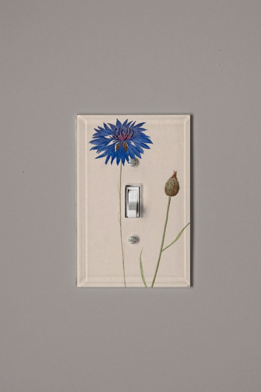 Blue Wave Switch Plate Cover
