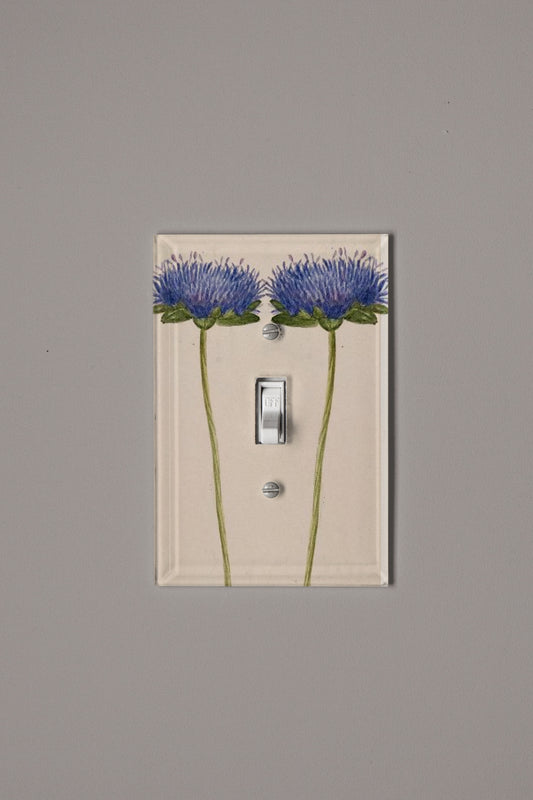 Brilliant Blue Switch Plate Cover