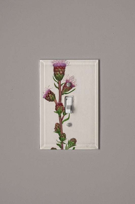 Victorian Trim Switch Plate Cover