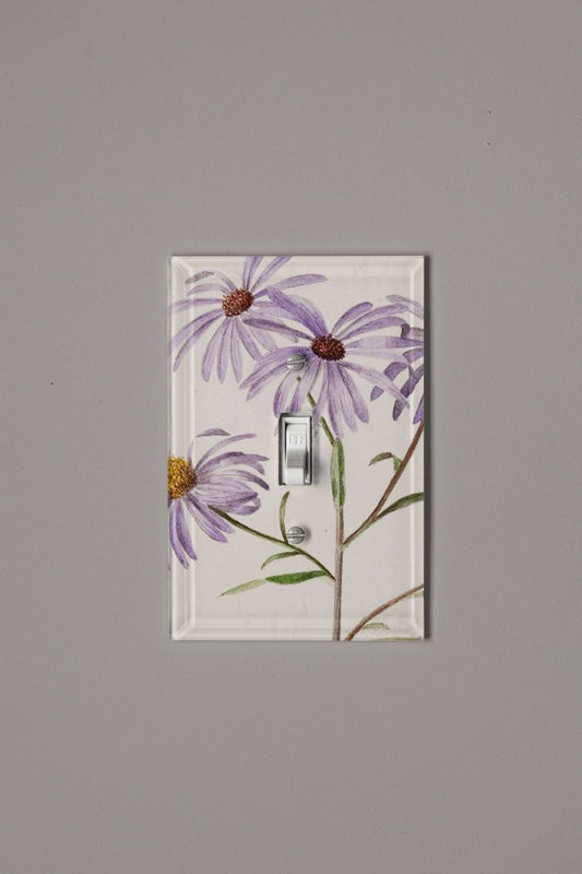 Early Sunrise Switch Plate Cover