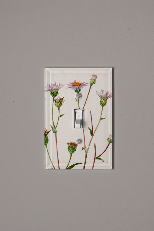 Gentle Blush Switch Plate Cover