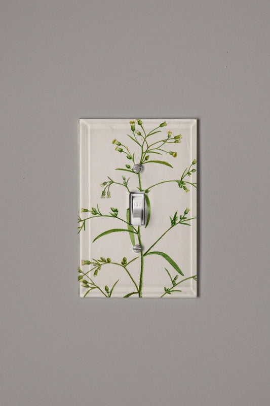 Pink Innocence Switch Plate Cover
