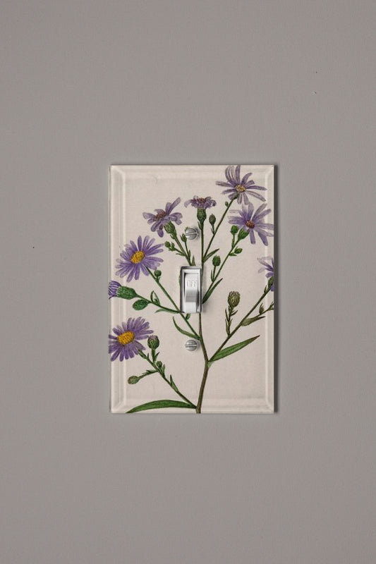 Enchanted Switch Plate Cover
