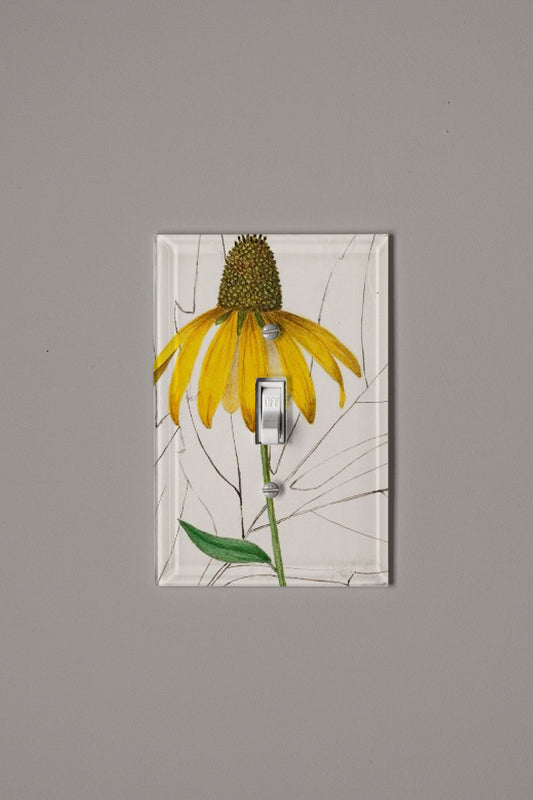 Sunburst Switch Plate Cover