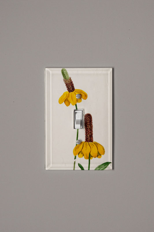 Sun Kissed Switch Plate Cover