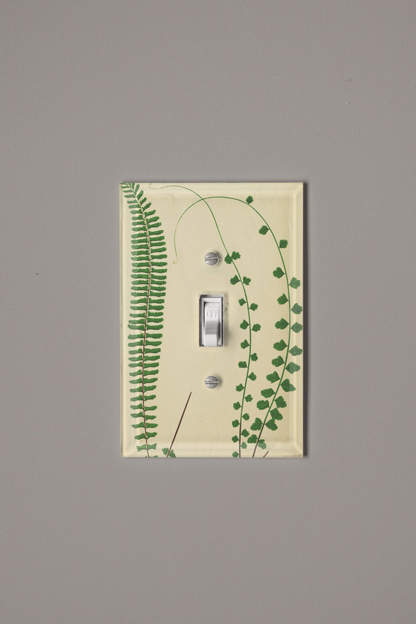 Green with Envy Switch Plate Cover