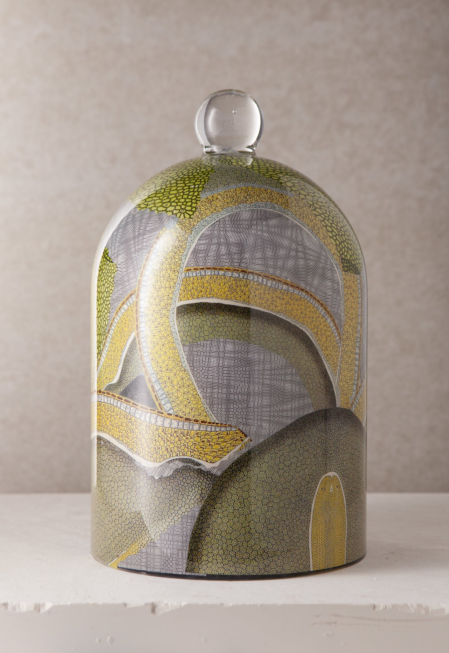 Moray Decoupage Bell Jar